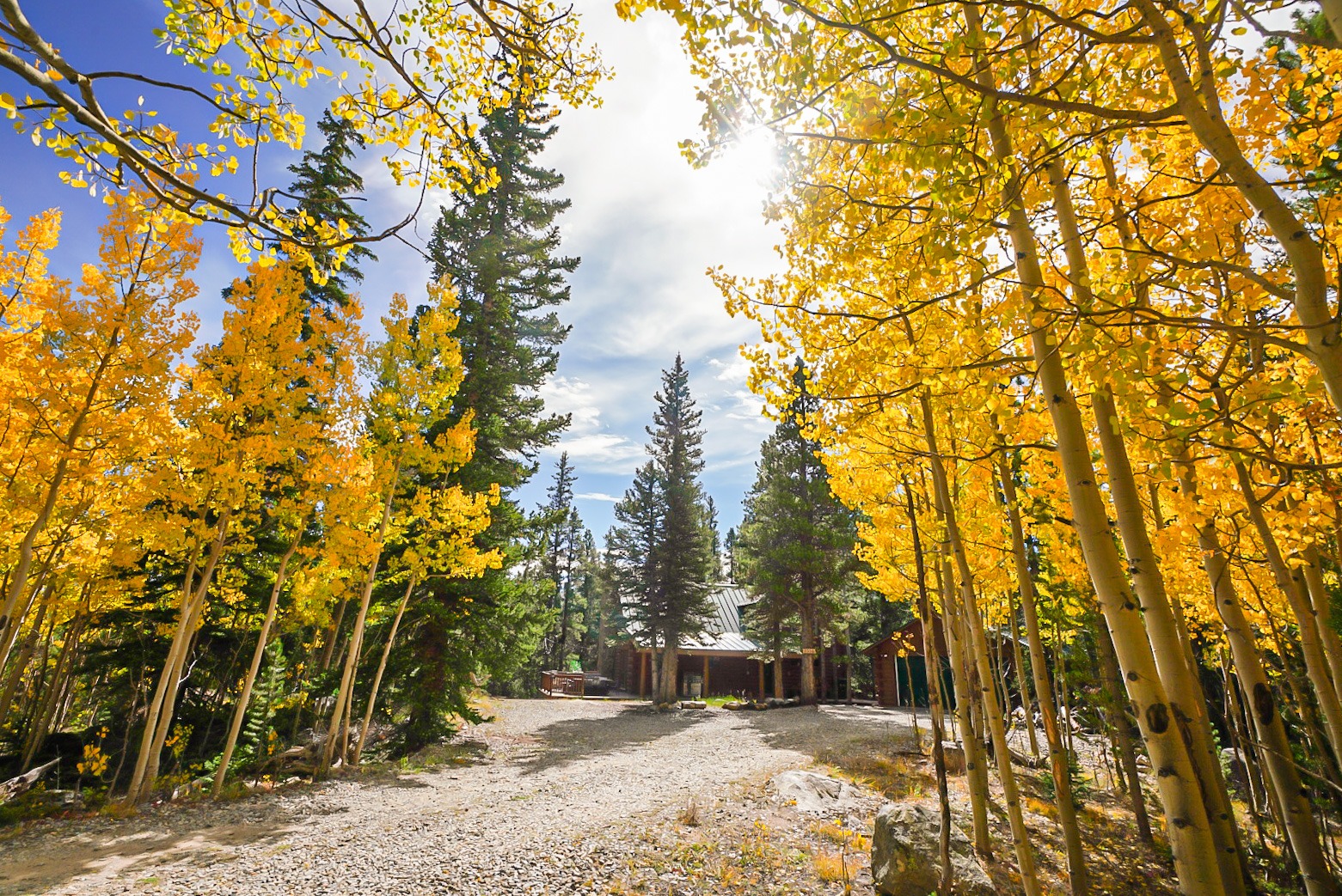 Gravel drive winding through aspens and pines to the cabin